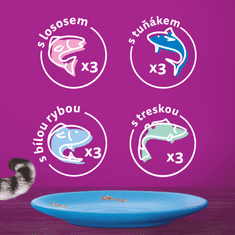 kapsičky oblíbené rybí pokrmy v želé pro dospělé kočky 48x 85g