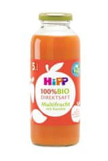 HiPP 6x 100 % Bio Juice Ovocná šťáva s karotkou