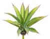 Aloe zelená v25 cm (FB109932800)