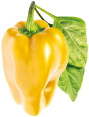 sladká žlutá paprika, kapsle se semínky a substrátem 3ks