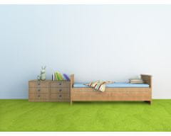 Vopi AKCE: 100x50 cm Metrážový koberec Eton zelený 41 - neúčtujeme odřezky z role! (Rozměr metrážního produktu Bez obšití)