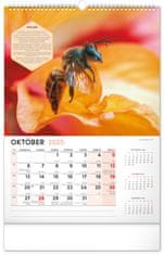 Presco Publishing NOTIQUE Nástěnný Včelársky kalendár 2025, 33 x 46 cm