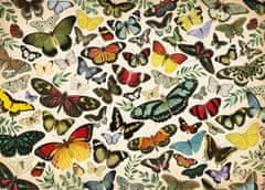 Jumbo Puzzle Motýli