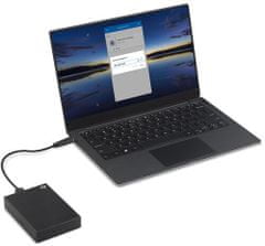 Seagate One Touch Portable - 1TB, černá (STKB1000400)