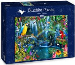 Blue Bird Puzzle Tropičtí papoušci