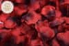 Okvětní lístky růže 400 ks - červeno černé vlčí mák