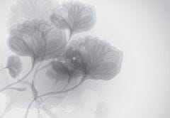 LuxusniObrazy.cz Fototapeta - Abstraktní květiny 539x389 cm