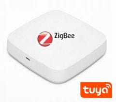 EnergoDom Chytrá zásuvka WiFi ZigBee s měřením proudu TUYA, IG010