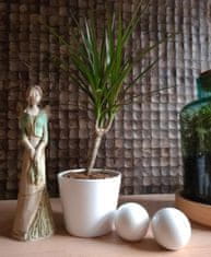Polnix Keramická dekorativní koule bílá 6 cm