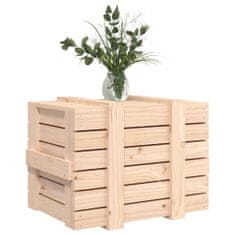 Greatstore Úložný box 58 x 40,5 x 42 cm masivní borové dřevo