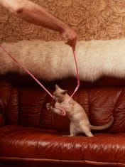 Japan Premium Hračka pro kočky se silným křupáním, růžová
